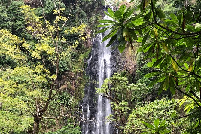 Materuni Waterfalls Coffee Tour & Chemka Hot Springs Day Trip - Coffee Farm Visit