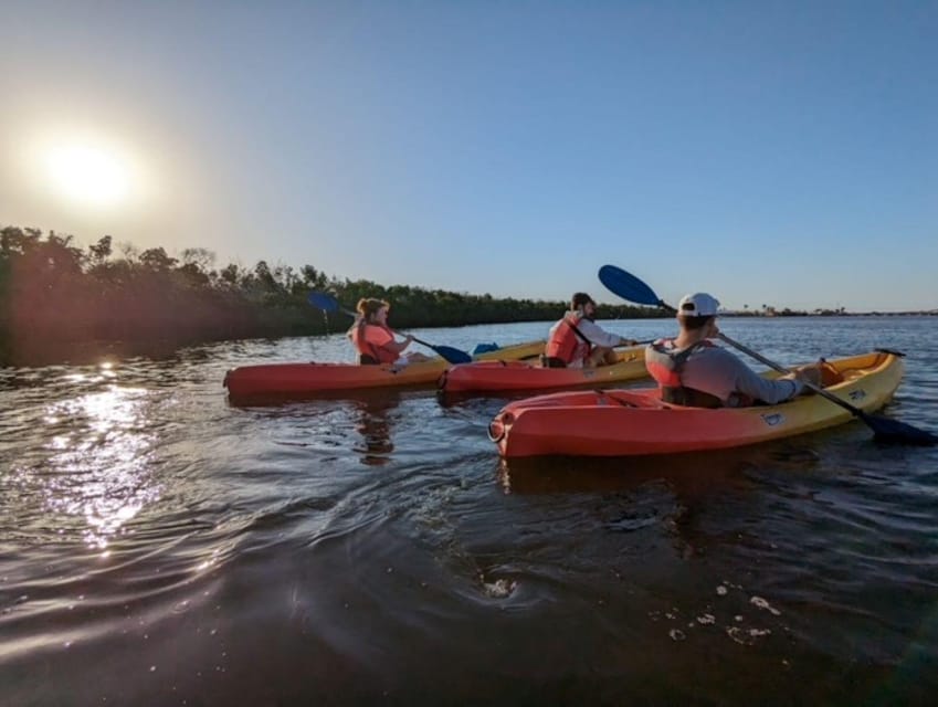 Matlacha: Dolphin & Mangrove Kayak Tour - Participant Restrictions