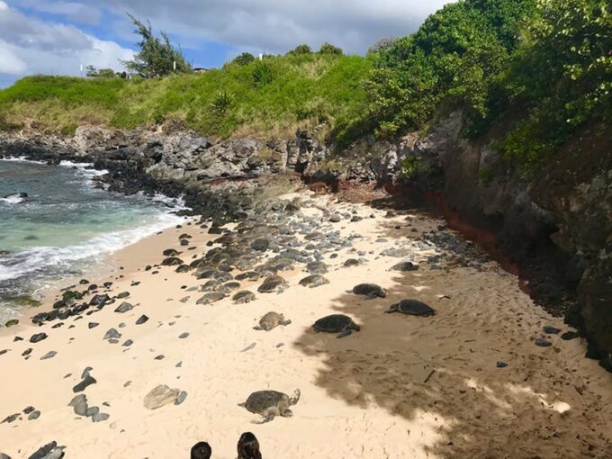 Maui: Private Halfway to Hana Tour - Frequently Asked Questions