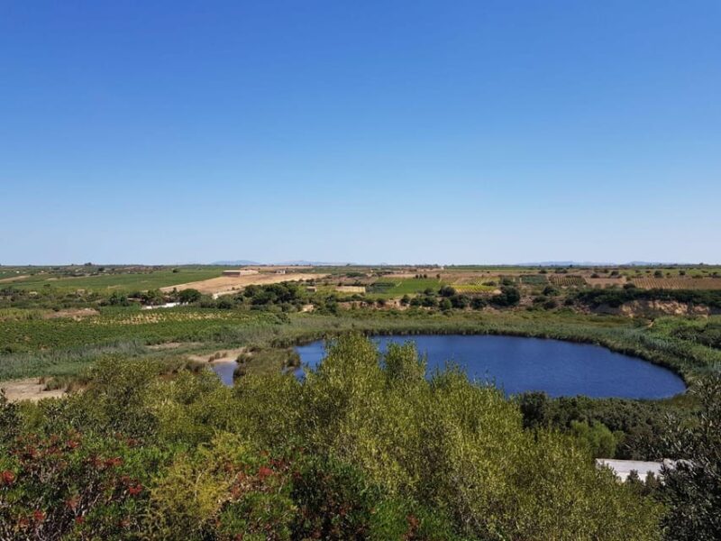 Mazara Del Vallo: Wine Tasting in the Nature Reserve - Tasting Details