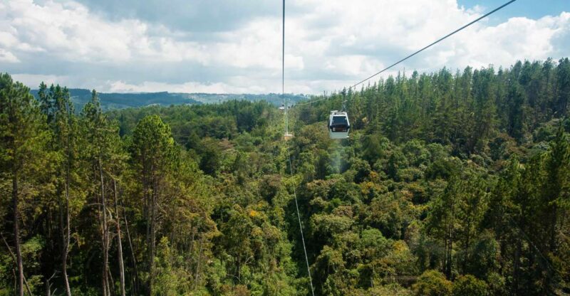 Medellin: Guided Nature Discovery Tour - Frequently Asked Questions