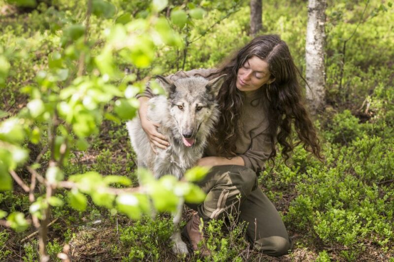 Meet Taivas & the Arctic Wolves - Private Tour - Important Information