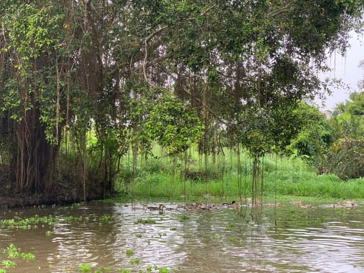 Mekong Delta: Experience the Hidden Gem of Local River Life - Transportation Options During the Tour