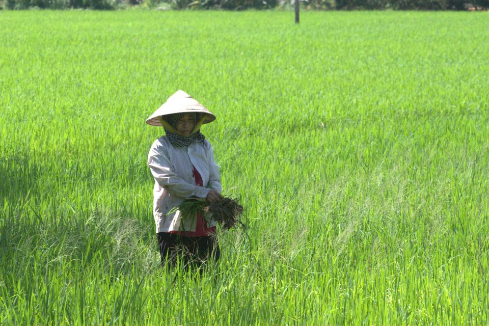 Mekong Delta Private Tour From Ho Chi Minh City - Inclusions and Amenities