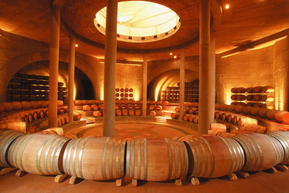 Mendoza: Half-Day Wine Tour With Tastings and Lunch - Culinary Delights