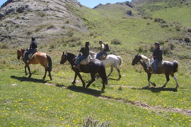 Mendoza Horseback Riding Tour With Traditional Argentine Asado - Important Considerations