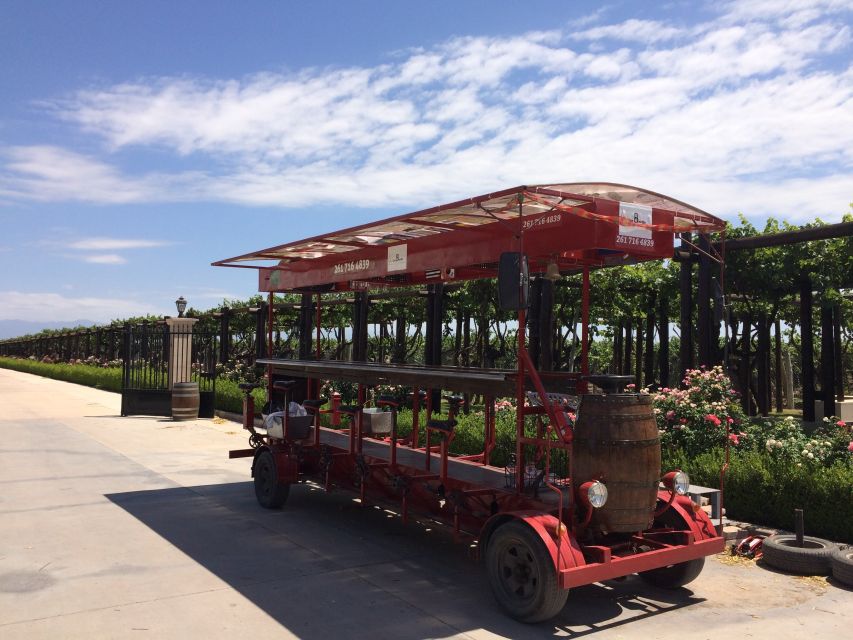 Mendoza: Winebike Tasting Tour With Optional Lunch - Tips for a Great Experience