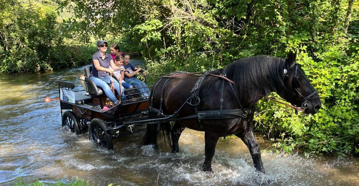 MENTHEVILLE : Horse Cariage Ride in Coutryside - Booking Information