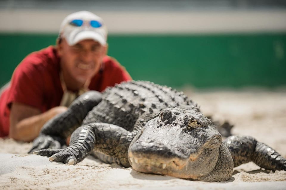 Miami: Everglades Adventure & Big Bus Hop-on Hop-off Tour - Experience Highlights