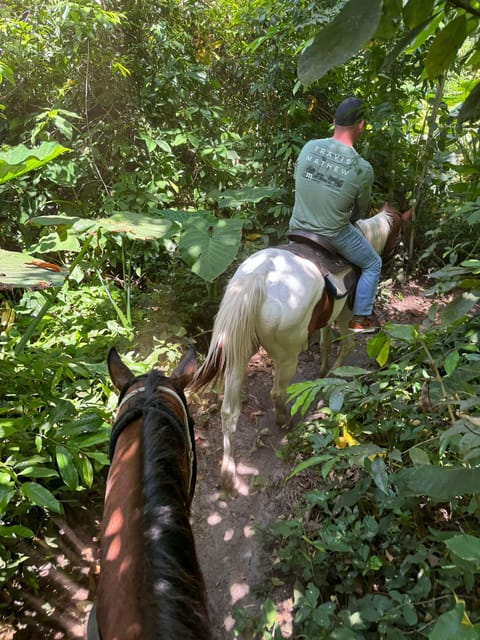 Miami: Horseback Riding in South Beach - Safety and Authenticity Focus