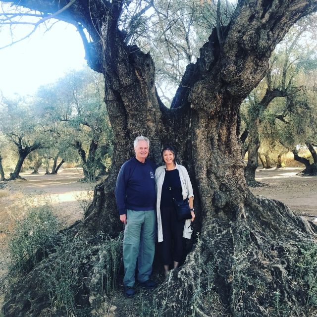 Midday Olive Oil Tour and Visit to Old Town of Belchite - Historic Village of Belchite