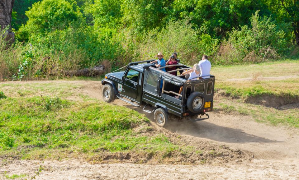 Minneriya: Minneriya National Park Private Safari - Included and Required