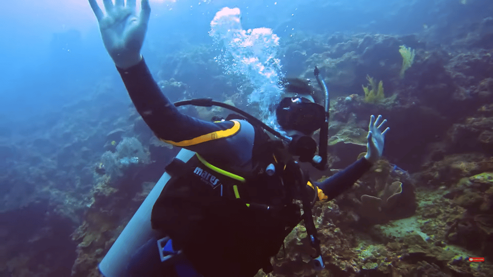 Moalboal : Scuba Diving Sardine Run and Turtle Chasing - Transportation