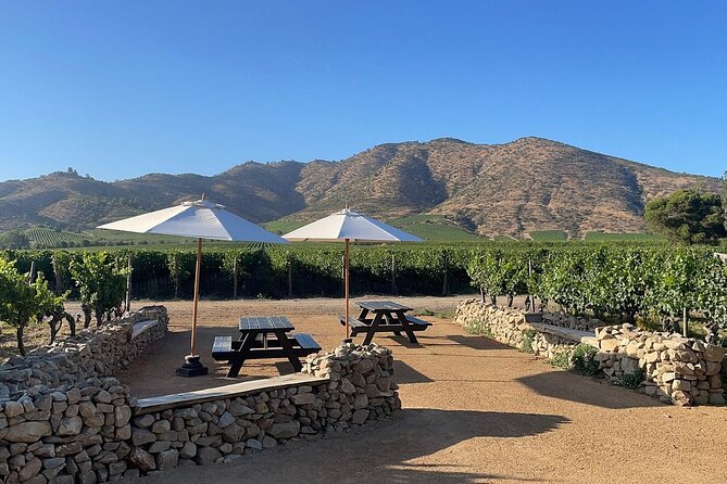 Moment Premium Tasting Tour - Tasting and Wine Sampling