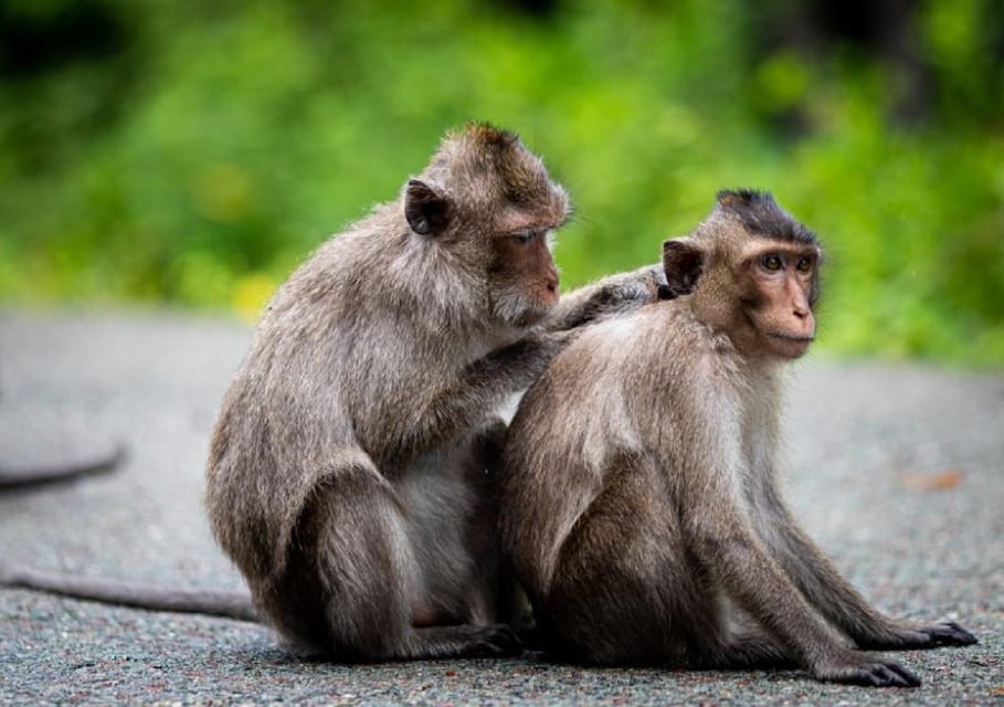 Monkey Island + Can Gio Mangrove Forest - Shared Tour - Inclusions and Exclusions