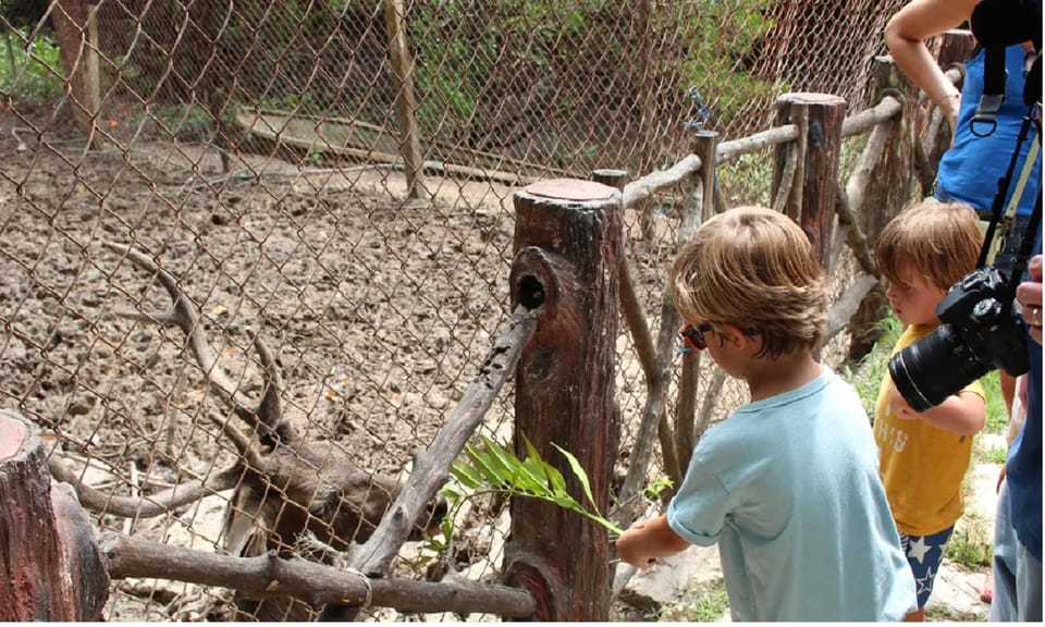 Monkey Island + Vam Sat Mangrove Forest 1 Day - Pickup and Return