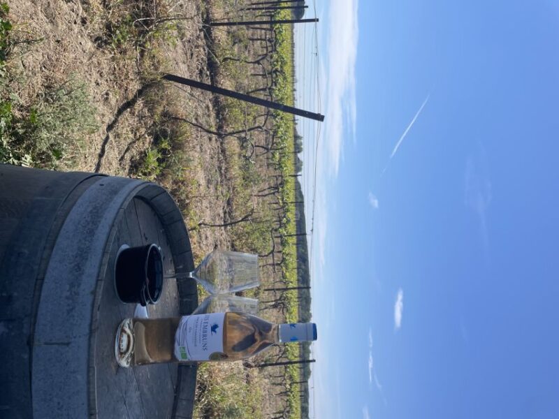 Montpellier: Half Day Wine Tour in Camargue - Wine Tasting Experience