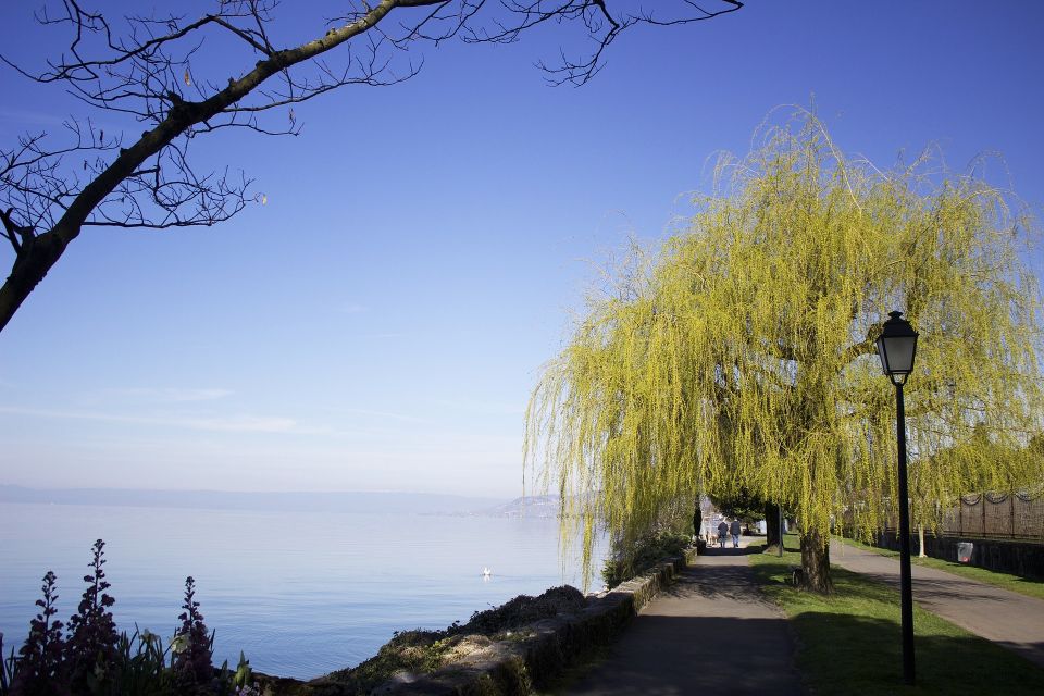 Montreux - Private Tour With a Visit to Chillon Castle - Montreux Old Town