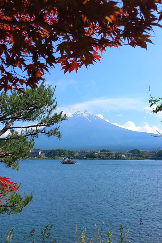 Mount Fuji Best Sightseeing Private Tour With Guide - Important Information