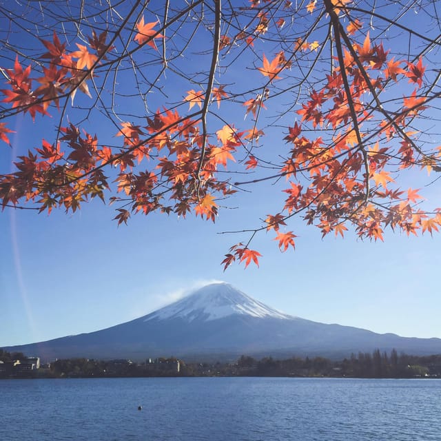 Mount Fuji Full Day Private Tour With English Speaking Guide - Inclusions and Exclusions