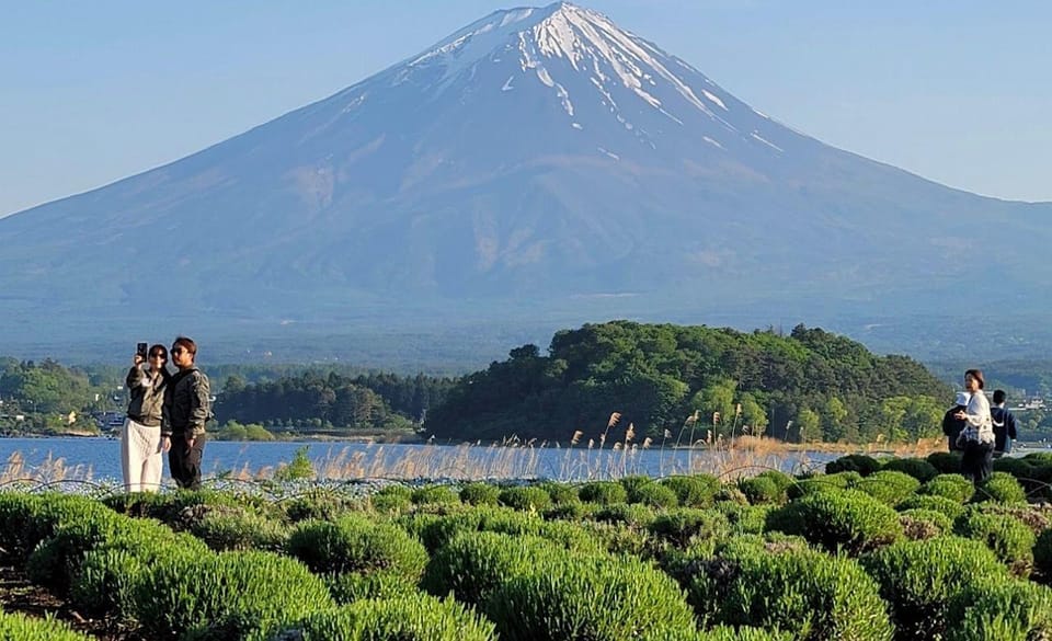 Mount Fuji Full Day Private Tour With English Speaking Guide - Customer Support and Inquiries