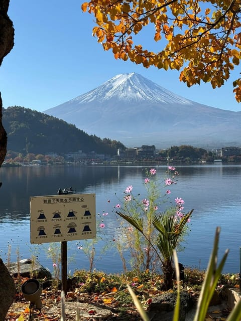 Mount Fuji Full Day Sightseeing Private Tour - Customer Reviews and Experiences