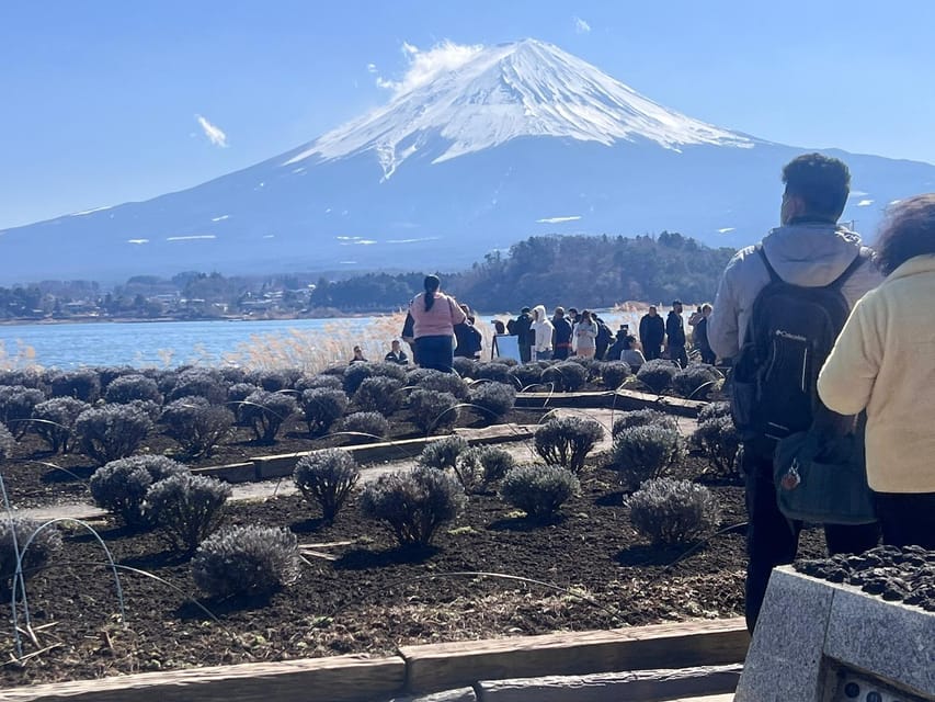 Mount Fuji,Hakone Private Tour by Car With Pick up - Experience Mount Fuji