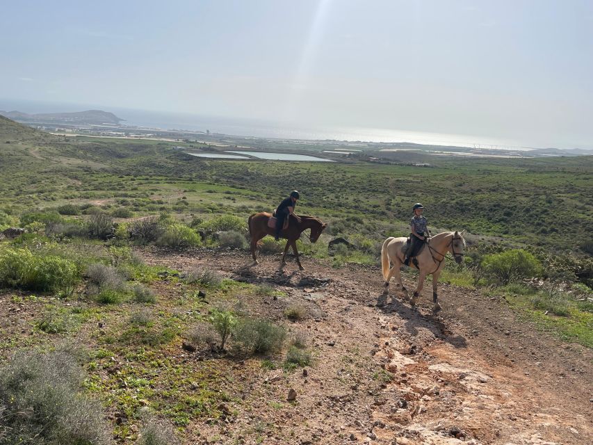 Mountain Panoramic Tour of 2 Hours - Participant Restrictions