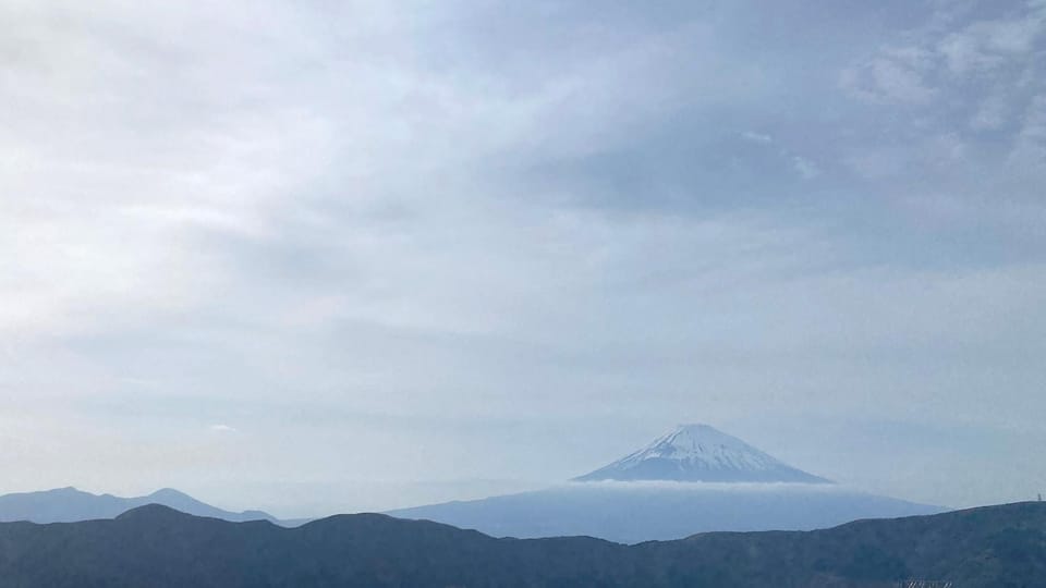 Mt Fuji: Full Day Private Tour From Tokyo by Luxury Vehicle - Experience and Customization