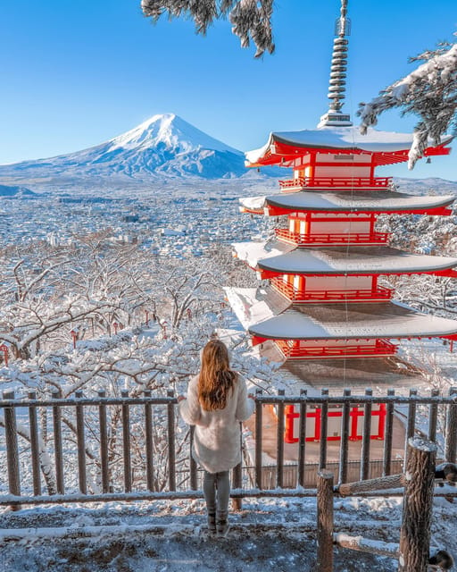 Mt Fuji Sightseeing Private Tour From Tokyo (English Driver) - Tour Features and Accessibility