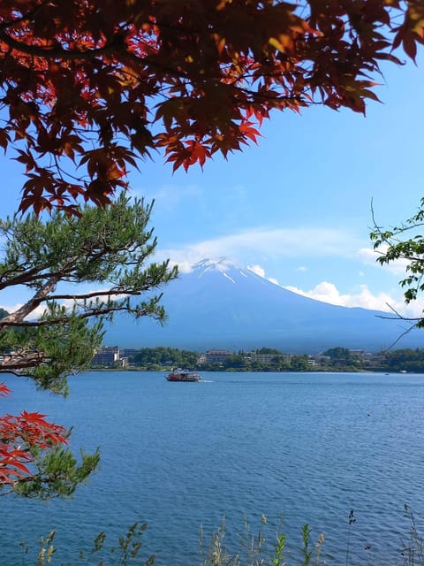 Mt Fuji Sightseeing Private Tour With English Speaking Guide - Important Information