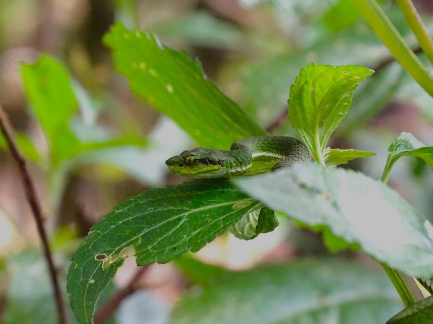 Munnar Birding and Bird Photography Trip - Birding Locations