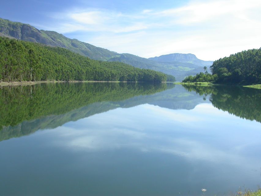 Munnar Site-Seeing Tour - Transportation Options