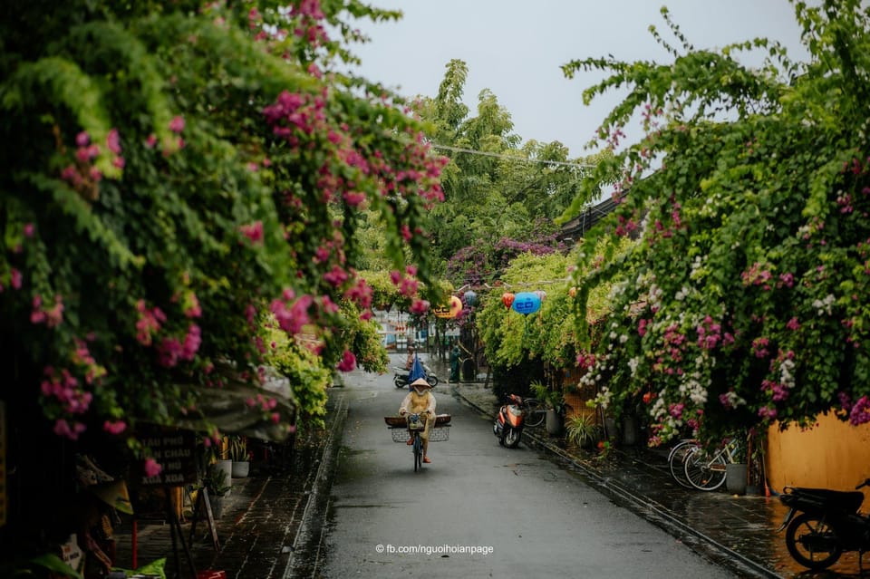 My Son Sactuary, Hoi an City, Banh My and Cafe Full Day - Inclusion of Services