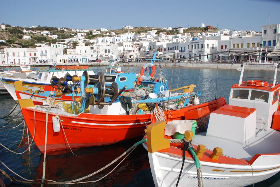 Mykonos: Half-Day City Walking Tour and Island Bus Tour - Important Information