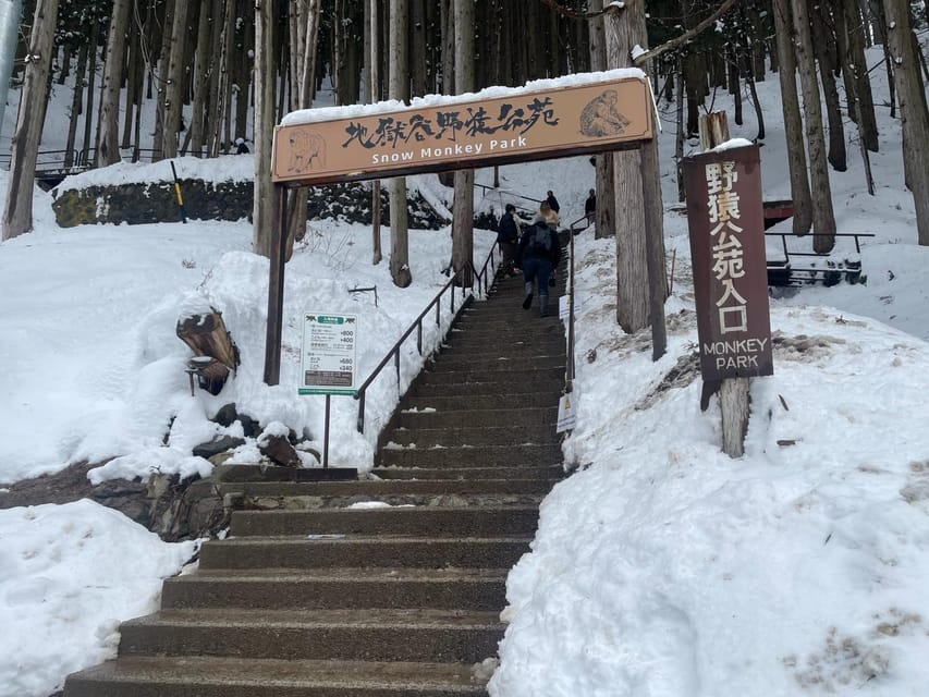 Nagano: Snow Monkey Park, Zenkoji One Day Private Tour - Customization Options