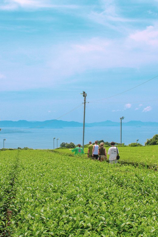 Nagasaki: Explore Japanese Teas on a Tea Tour - Booking Information