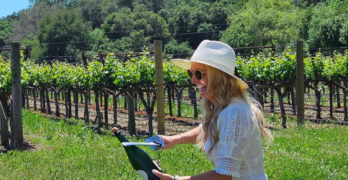 Napa/Sonoma: Private Day Trip to Wine Country With a Guide - Wine Tasting Options