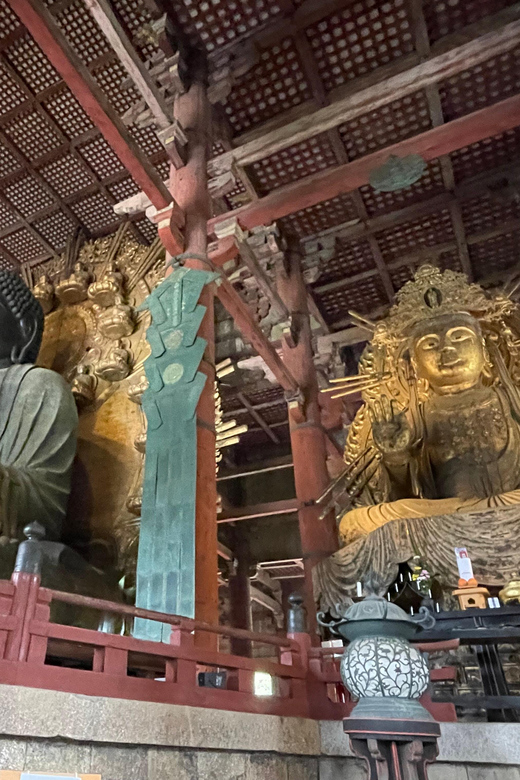 Nara: 1 Day Local Guide– Big Buddha, Deer, Shrine, Old Town - Tour Exclusions