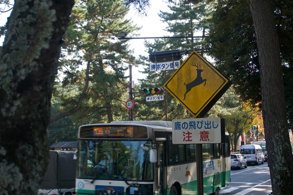 Nara Heritage Walkabout From Nara Park to Todaji-Ji Temple - Frequently Asked Questions