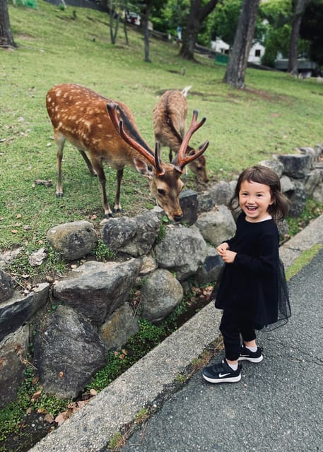 Nara: Todai-ji, Kasuga and Nara Park (Russian Language) - Experience at Ukimido Pavilion