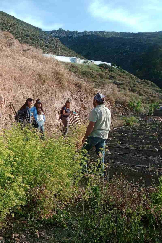 Native Vegetables Farm Tour & Organic Meal - Pricing and Availability