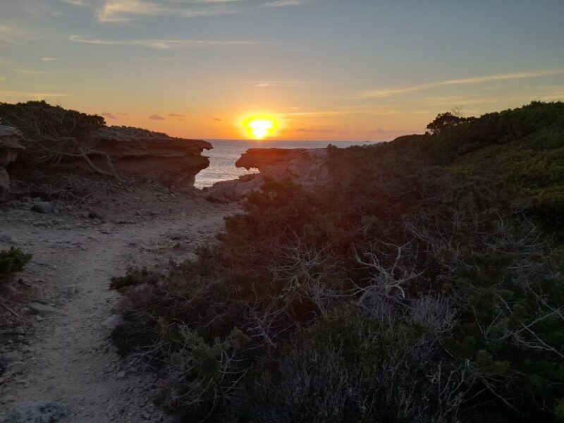 NATURE WALK + BEACH, YOGA & OPTION OF HEALTHY BIO PICKNICK - Dining Alternatives