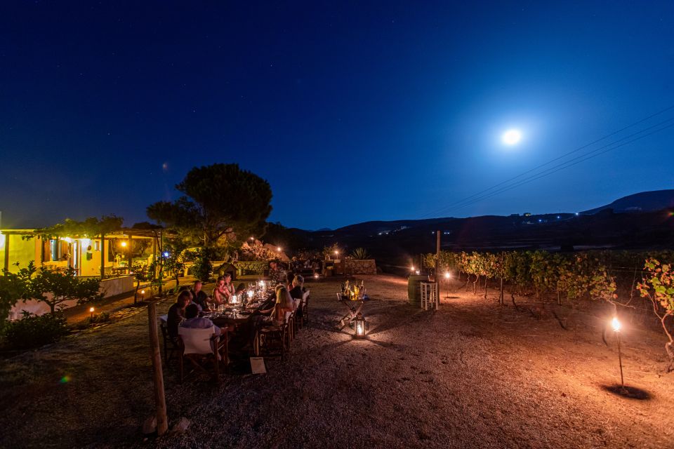 Naxos: Full Moon Dinner and Wine Tasting in a Vineyard - Culinary Delights