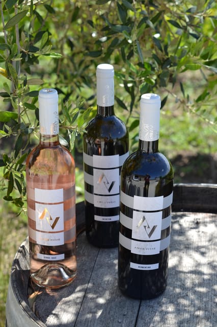 Near Rome: Wine Tasting in Exclusive Location - Sustainable Winemaking Practices