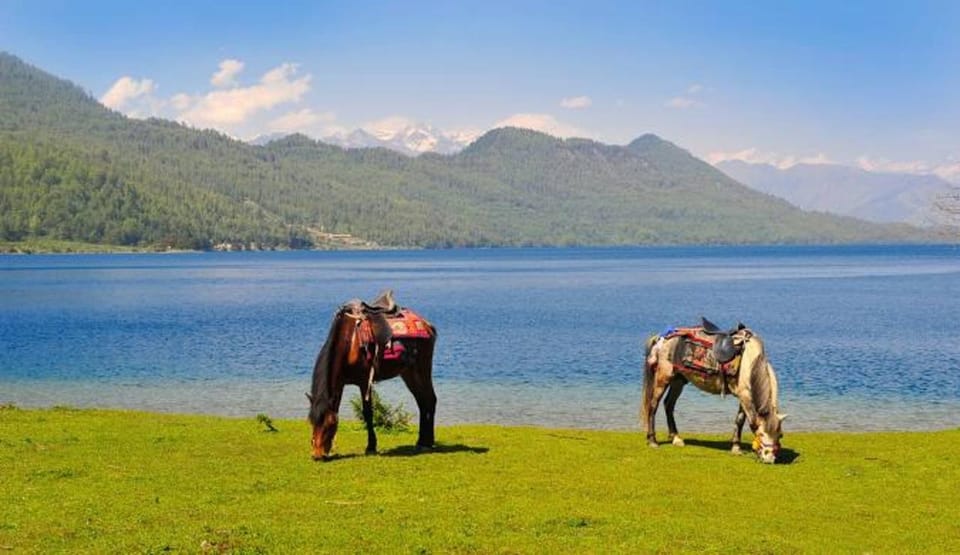 Nepal: Rara Lake Trek - The Biggest Lake in Nepal - Preparation Essentials