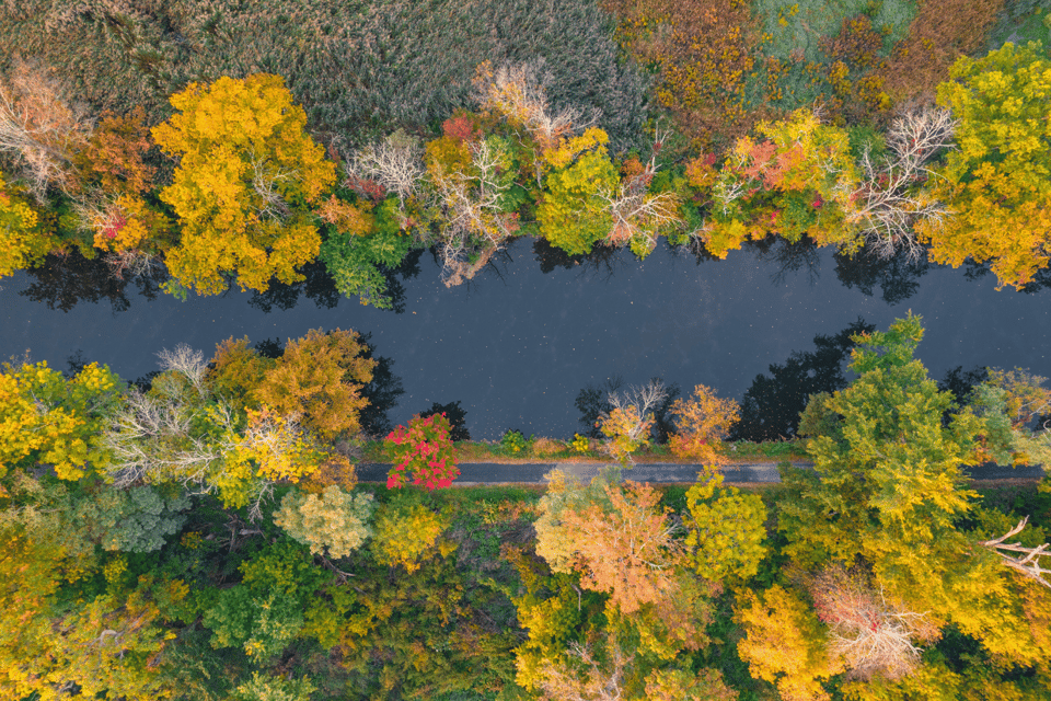 New River Gorge National Park: Ultimate Scenic Driving Tour - Meeting Point and Logistics