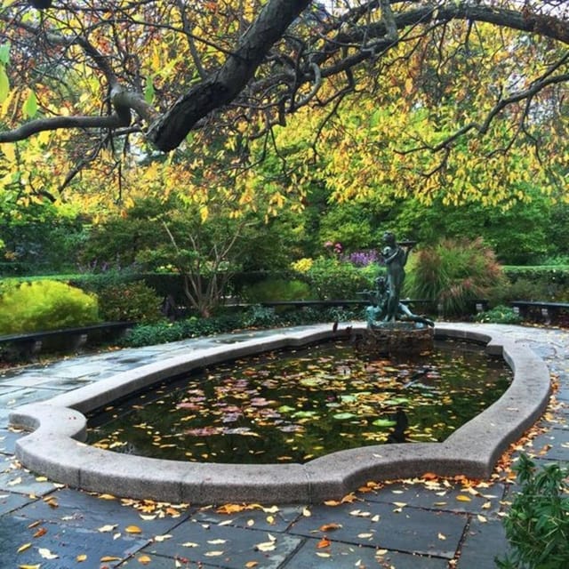 New York City : Central Park Walking Tour With A Guide - Meeting Point