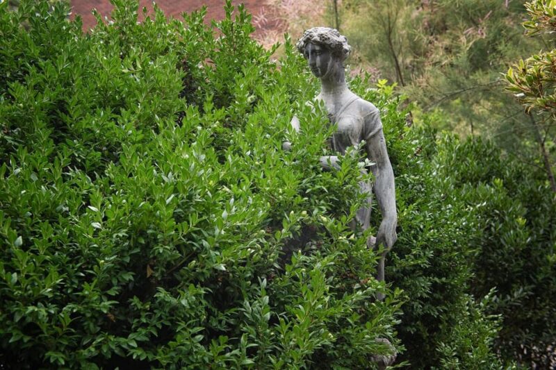 New York City: The Garden Photo Tour - Photography Techniques
