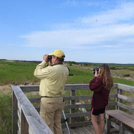 Newburyport: Plum Island Bird Watching Tour W/Transportation - Inclusions and Exclusions